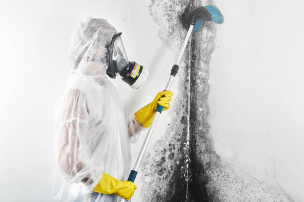 Best Dehumidification Services  in Sullivans Island, SC