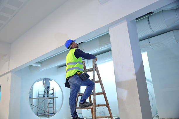 Best Emergency Mold Remediation  in Sullivans Island, SC